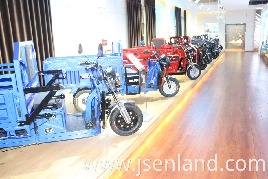 800 W Motor Small Electric Tricycle